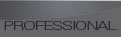 professionalactive